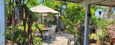 A serene garden area with seating and shade
