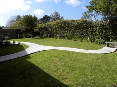 Pathway through a serene garden area