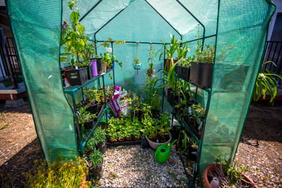 Greenhouse filled with various plants and gardening supplies