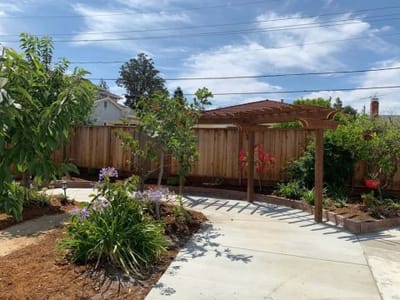 Well-maintained garden area with plants and a pergola