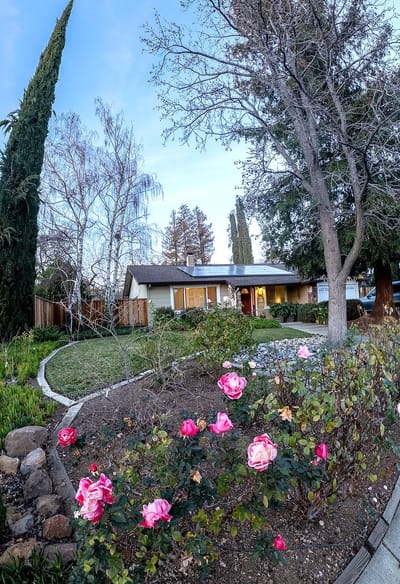 A well-maintained front yard with pink roses and a house.