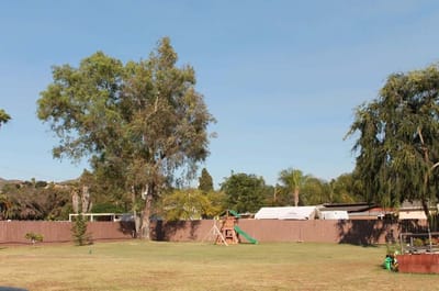 Spacious outdoor area with a playground and trees