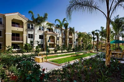 View of landscaped courtyard with palm trees and resident buildings