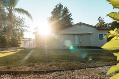 Exterior view of a facility with sunlight bursting through trees