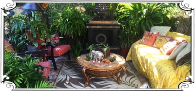 Cozy indoor lounge area with plants and seating