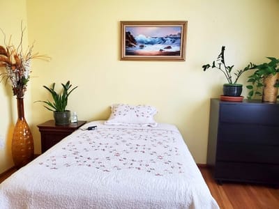 Cozy bedroom with a nature-themed painting