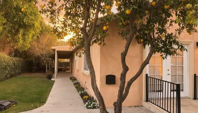 Path leading to a building with a tree and flowers