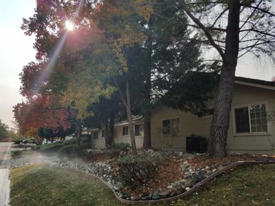 Exterior view of the facility surrounded by trees