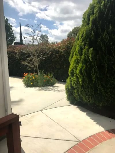 Pathway through a garden with flowers