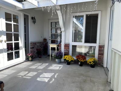 Bright entrance area with potted flowers
