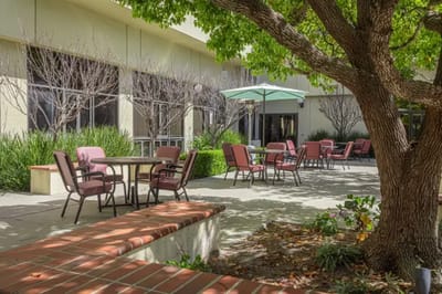 Outdoor seating area with shaded tables and chairs