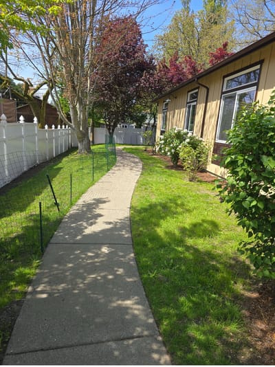 Curved walkway in a landscaped outdoor area