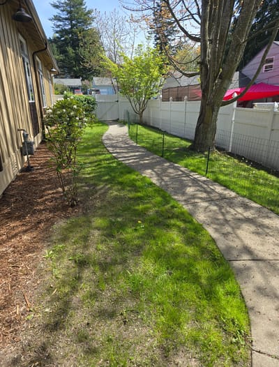 Pathway through a landscaped garden area