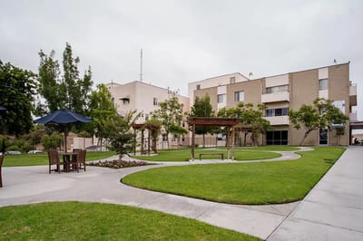 Outdoor space with gardens and seating areas