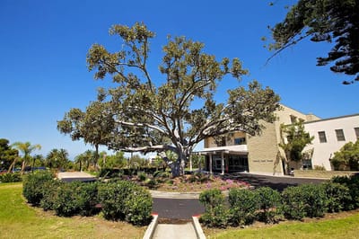 A large tree in front of the facility building