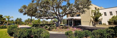 Exterior view of Paradise Valley Manor with a large tree