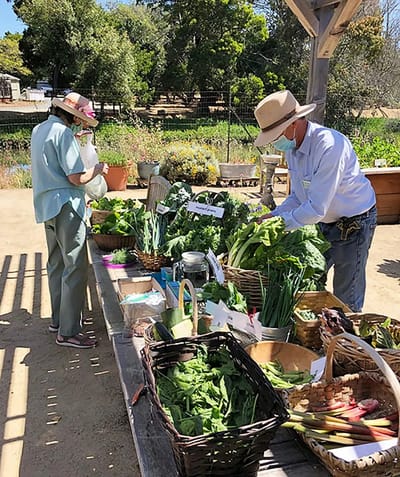Residents enjoying a gardening activity in an outdoor space