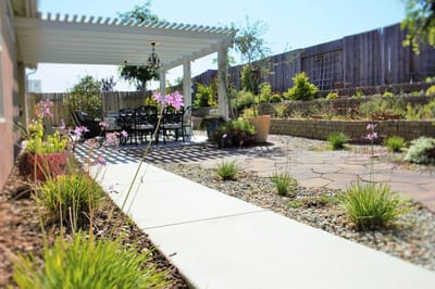 Patio area with seating and garden flowers