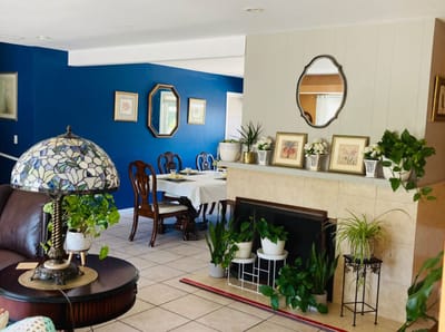 Cozy common area with a dining table and plants
