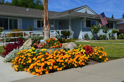 Colorful flower garden in front of a welcoming building