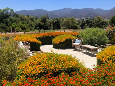 Colorful garden seating area with mountain view