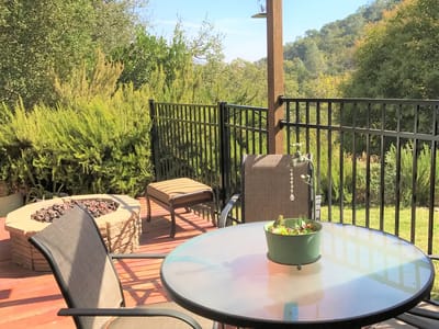 Outdoor seating area with plants and deck