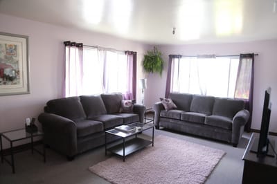 Comfortable interior living room with sofas and plants