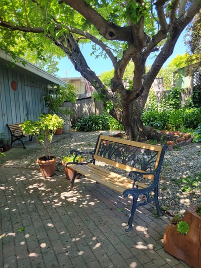 Quiet outdoor seating area with plants and trees