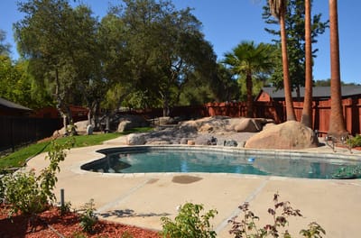 Outdoor pool area with rocks and palm trees