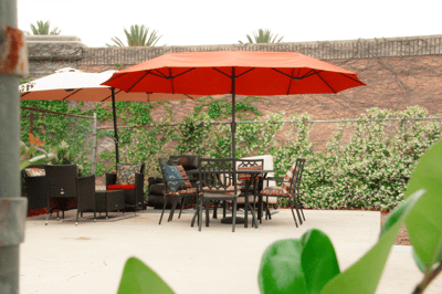 Outdoor seating area with umbrellas and plants