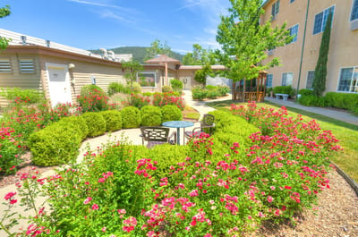 Well-maintained garden with flowers and seating area