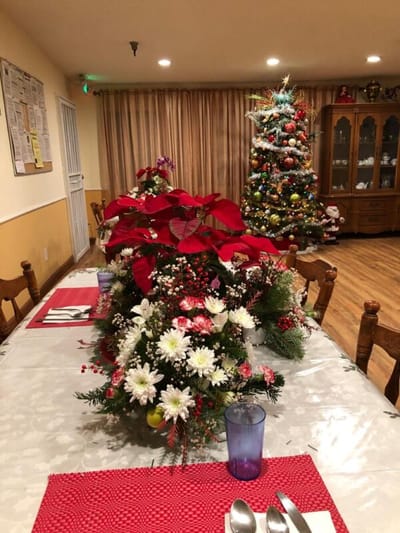 Festively decorated dining area with plants and Christmas tree