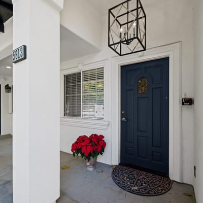 Entrance to a residential area with a dark door and plants