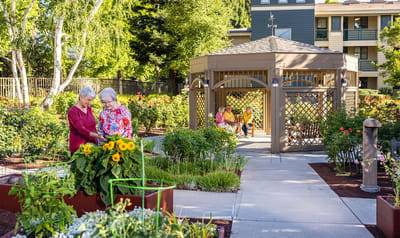 Residents gardening in a vibrant courtyard