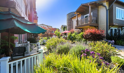 Lush garden area with colorful flowers and seating