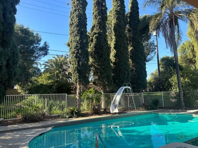 Outdoor pool area with palm trees and slide