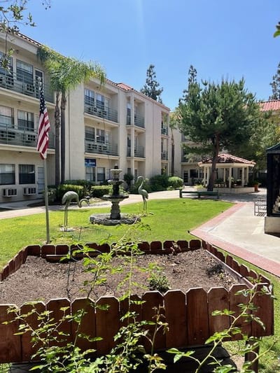 Courtyard view with fountain and greenery