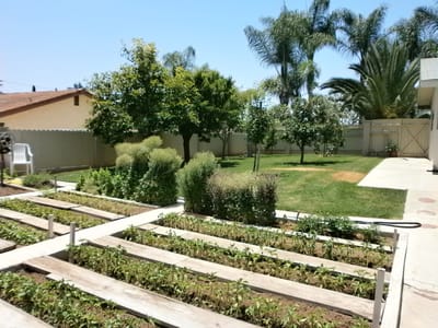 Well-maintained garden area with greenery and trees