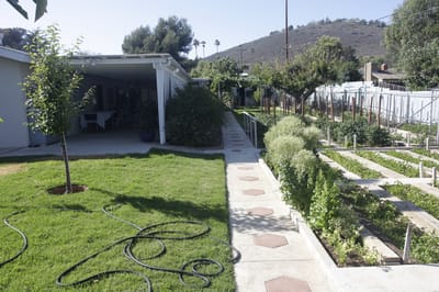 Well-maintained garden area with pathways