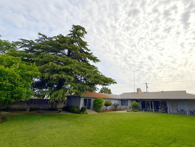 Spacious garden with trees and greenery
