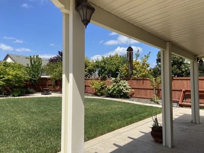 View of a landscaped outdoor area with trees and grass