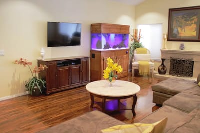 Bright common area with fish tank and seating