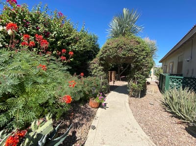 Pathway through a colorful garden with flowers
