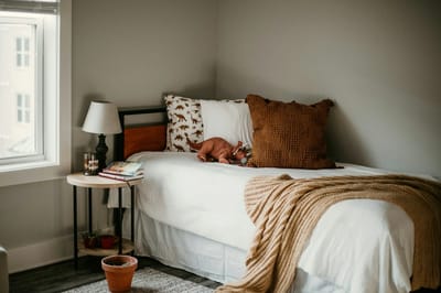 Cozy resident room with bed and decor