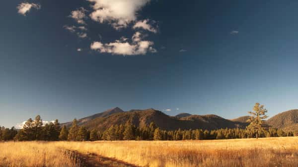 Nursing Homes in Flagstaff, AZ