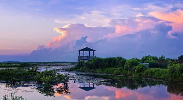 Memory Care in Lake Charles, LA
