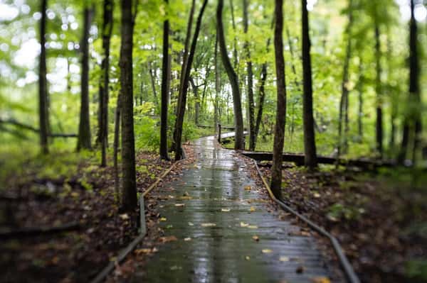 Nursing Homes in Muskego, WI