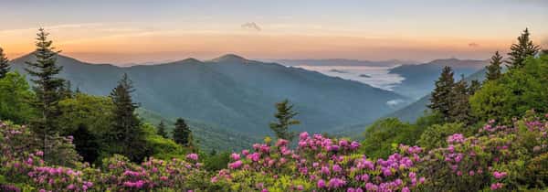 Home Care in North Carolina