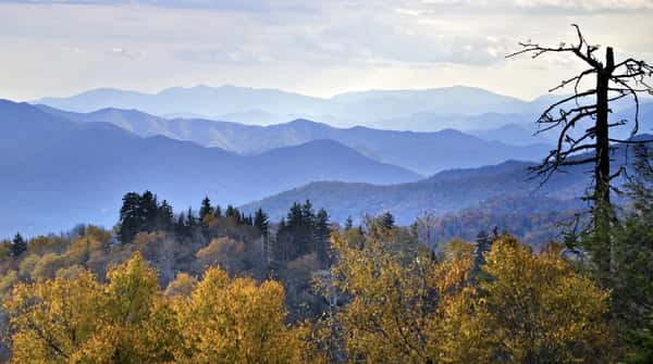 Assisted Living in Clemmons, NC