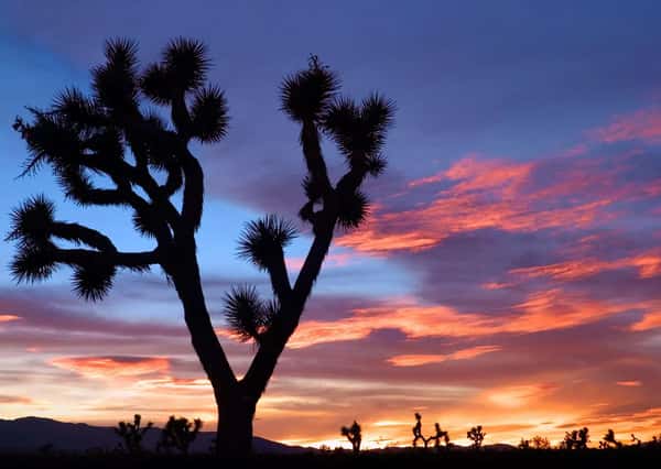 Assisted Living in Victorville, CA
